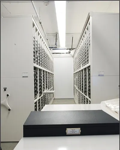 adjustable shelving