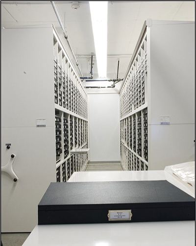 adjustable shelving