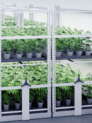 Vertical Farming Storage, O'Brien Systems